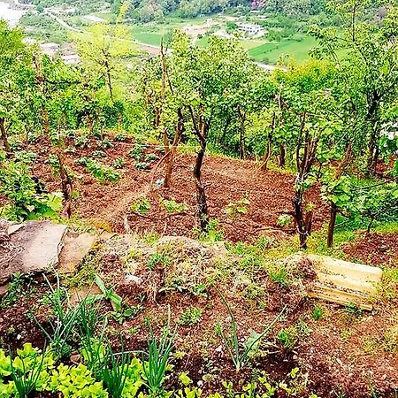 Séjour à la campagne Bujtina Ajti Petran